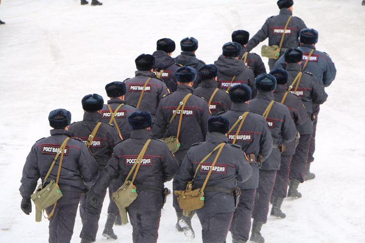 В Управлении Росгвардии по Амурской области завершилась проверка за 2019 год 