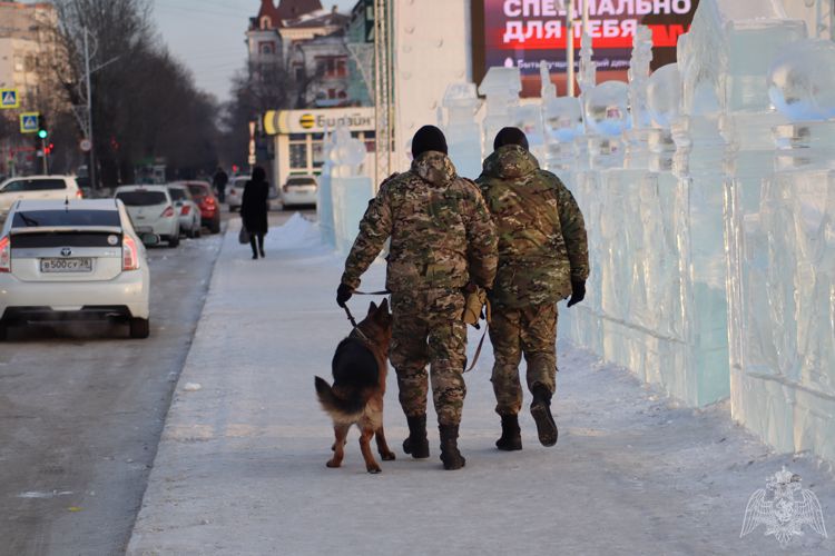 Сотрудники Росгвардии проверили школы города Благовещенска перед Новогодними праздниками   