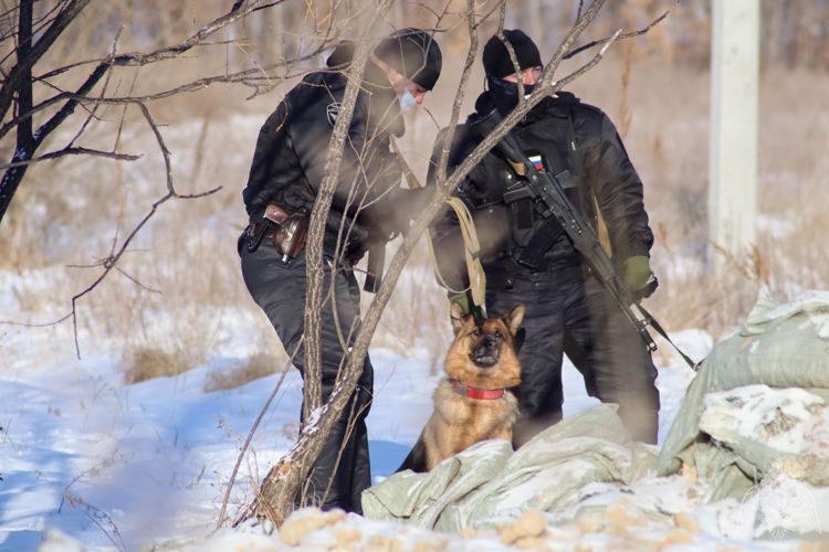 В Амурской области спецподразделения провели тренировку в полевых условиях