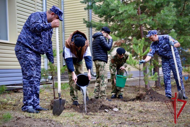 Росгвардия в Амурской области приняла участие в экологических акциях «Зеленая Россия» и «Древо Сталинграда»