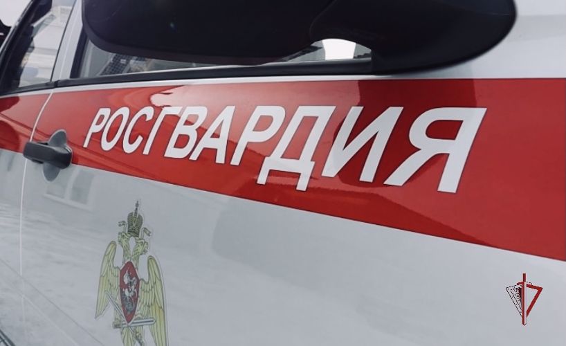 Сотрудниками  Росгвардии по Амурской области задержан гражданин, подозреваемый в грабеже
