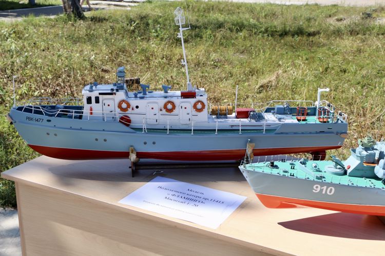 Управление Росгвардии по Амурской области приняло участие в патриотической акции «День Государственного флага Российской Федерации» 