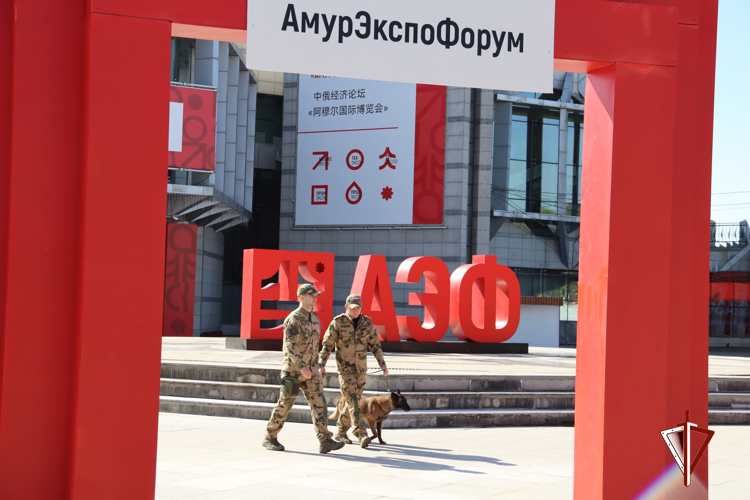 В Приамурье Росгвардия обеспечила безопасность проведения АМУРЭКСПОФОРУМА 