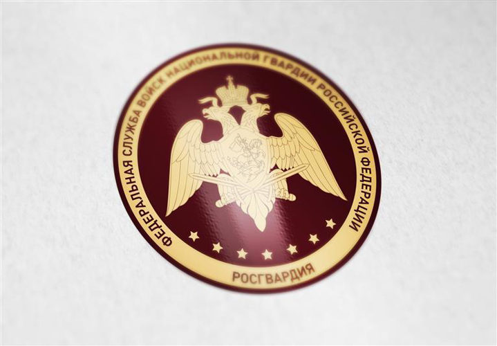 Сотрудники СОБР Росгвардии задержали жителя города Благовещенска за пропаганду нацистской символики