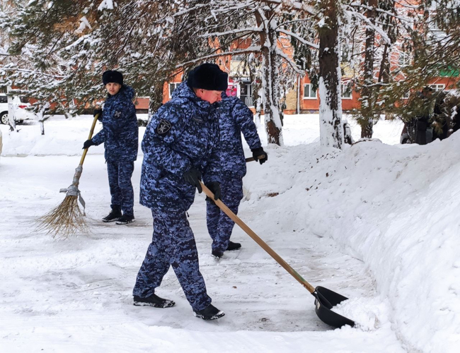 Росгвардия помогает ликвидировать последствия аномального снегопада в Амурской области (видео)