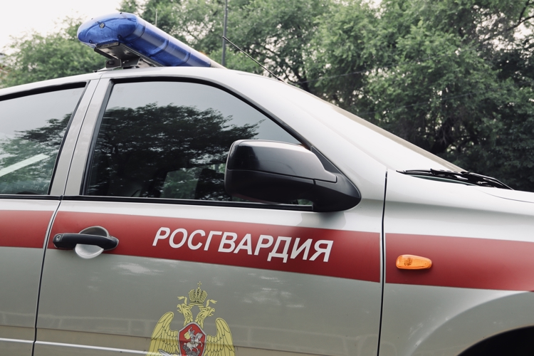 В Тамбовке сотрудники Росгвардии задержали мужчину, который управлял автомобилем в состоянии алкогольного опьянения