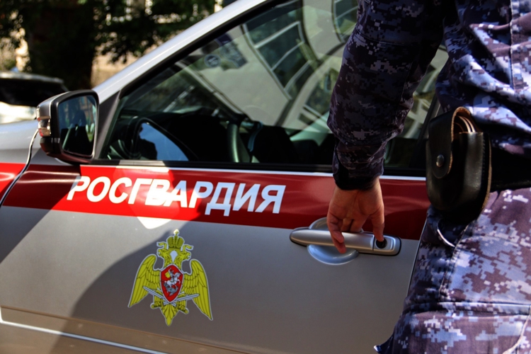 Итоги работы строевых подразделений вневедомственной охраны Росгвардии Амурской области в период с 15 по 21 сентября 2025 года