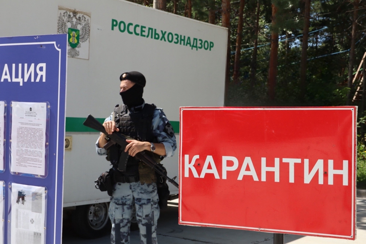 В Благовещенске Росгвардия приняла участие в учениях по ликвидации условного очага опасного заболевания животных
