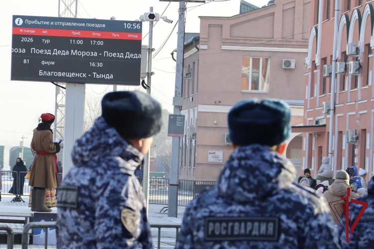 Общественную безопасность во время прибытия «Поезда Деда Мороза» в Приамурье обеспечивают сотрудники Росгвардии