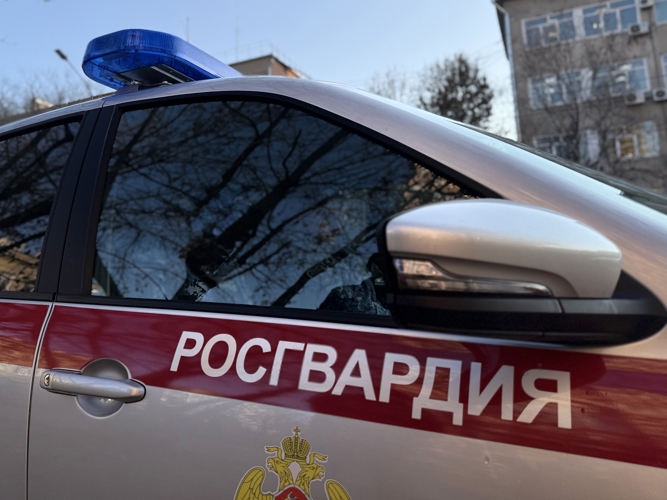 В городе Свободном сотрудники вневедомственной охраны Росгвардии пресекли вывоз около десяти кубов незаконно заготовленной древесины