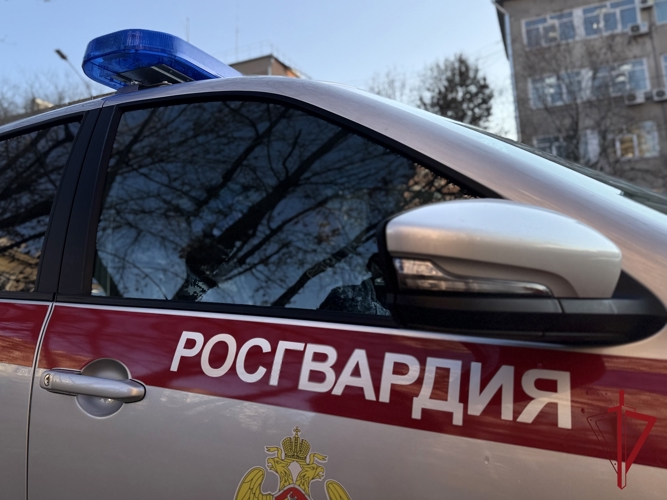 Сотрудниками Росгвардии задержаны исполнители похищения человека в Амурской области