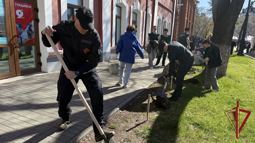 Сотрудники ОМОН «УРАН» высадили кустарники кизильника возле площади Победы в Благовещенске