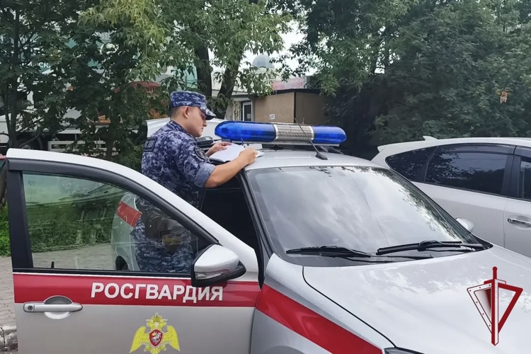 Итоги работы строевых подразделений вневедомственной охраны Росгвардии Амурской области в период с 20 по 26 июля 2026 года