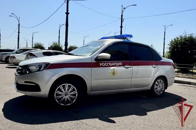 В Благовещенске росгвардейцы задержали подозреваемую в совершении кражи
