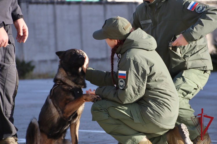 Сотрудники отрядов СОБР и ОМОН в Амурской области рассказали о своей службе благовещенским  школьникам и студентам