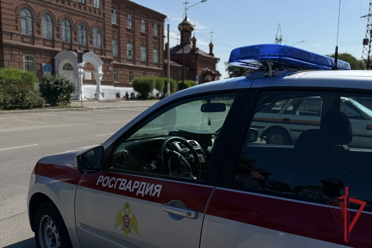 Итоги работы строевых подразделений вневедомственной охраны Росгвардии Амурской области в период с 12 по 18 октября 2026 года